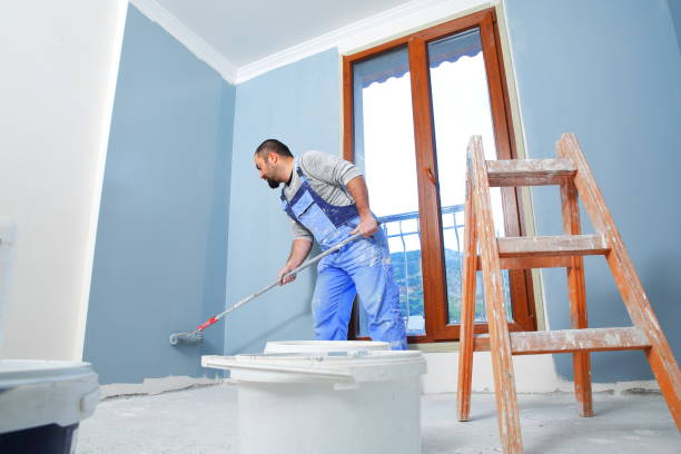 Best Mold-Related Health Consultation  in Rockford, MN