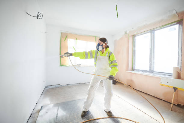 Best Commercial Mold Inspection  in Rockford, MN