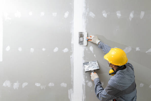 Best Industrial Mold Remediation  in Rockford, MN