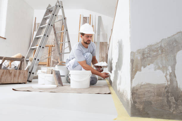 Best Post-Construction Mold Inspection  in Rockford, MN