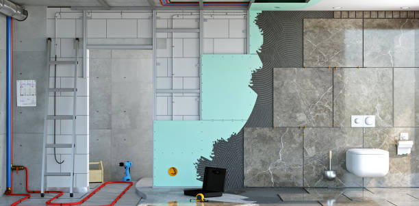 Best Basement Mold Removal  in Rockford, MN