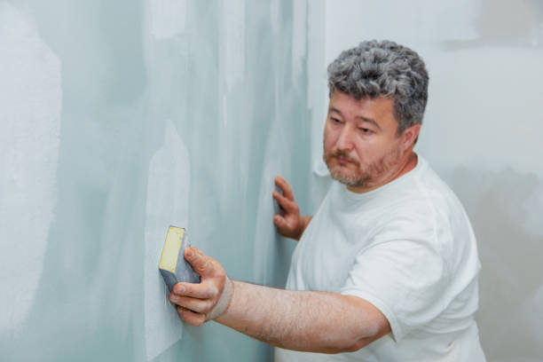 Best Residential Mold Inspection & Testing  in Rockford, MN