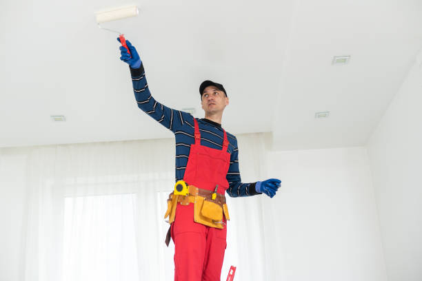 Dehumidification Services in Rockford, MN