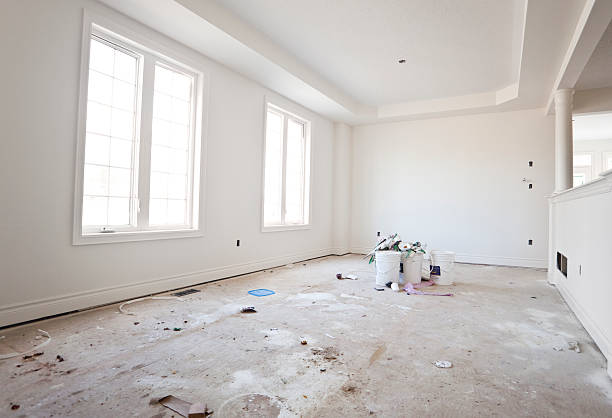 Best Dehumidification Services  in Rockford, MN