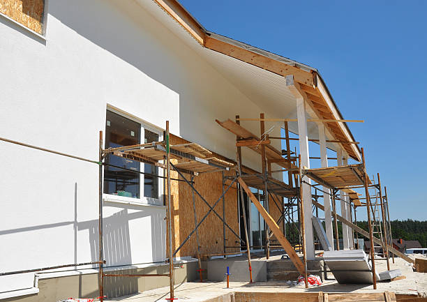 Best Mold Damage Restoration  in Rockford, MN
