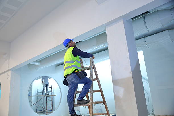 Best Mold Remediation for Healthcare Facilities  in Rockford, MN