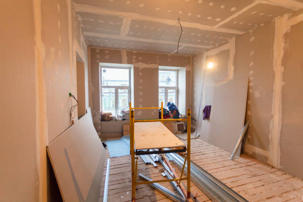 Best HVAC Mold Inspection and Cleaning  in Rockford, MN